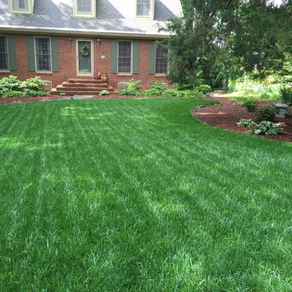 Grama Santo Agostinho