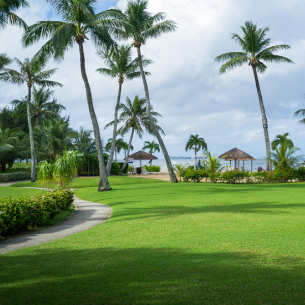 Grama Santo Agostinho